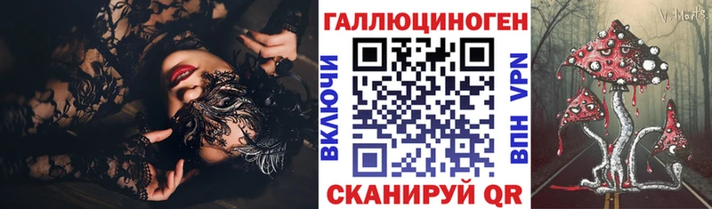 Псилоцибиновые грибы Psilocybe Березники
